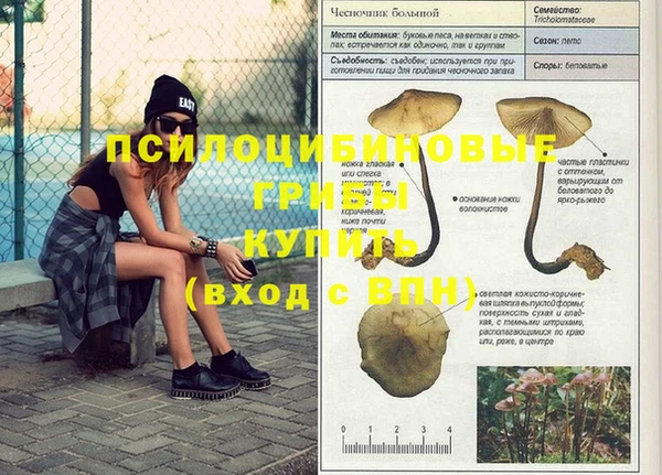 синтетический гашиш Куйбышев