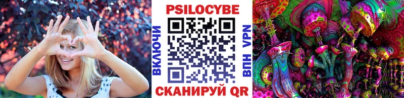 Галлюциногенные грибы Psilocybine cubensis  где купить   Нерехта 